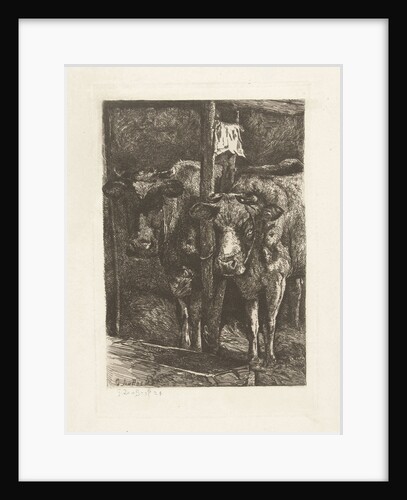 Two cows in the barn by Gerard Jan Bos
