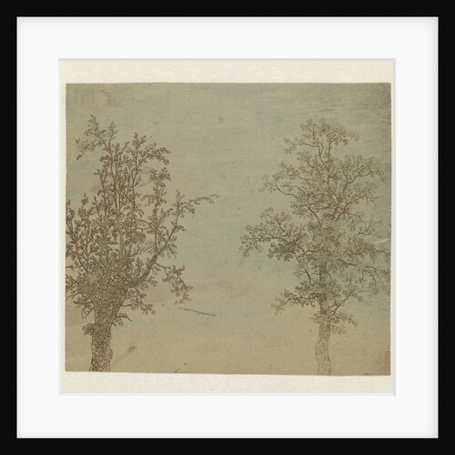 The two trees by Hercules Segers