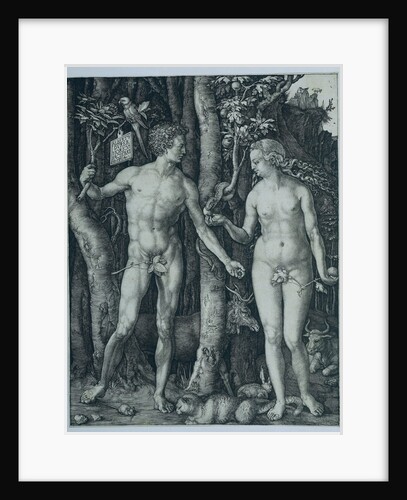 Adam and Eve by Albrecht Dürer