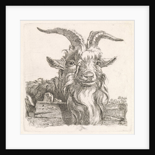 Head of a goat by Barend Hendrik Thier