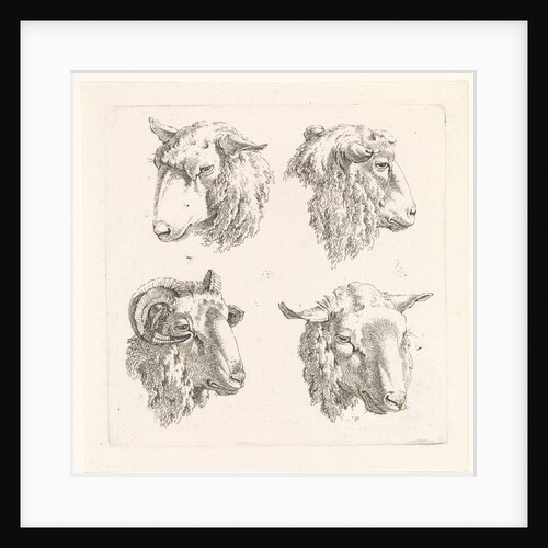 Four sheep heads by Barend Hendrik Thier