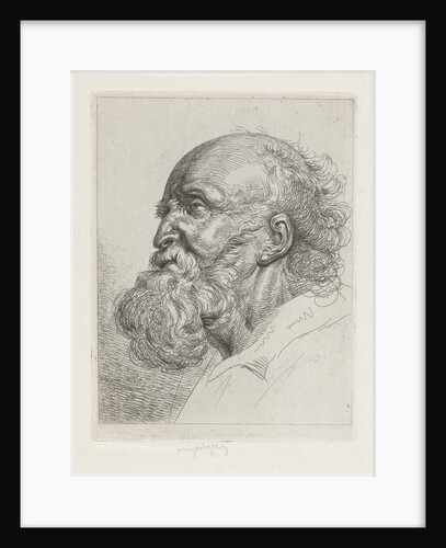 Portrait of an old man with beard by Peter Paul Rubens