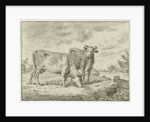 Two cows by Cornelis van Noorde