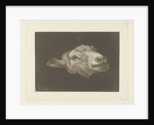 Sheep's head by Pieter Gerardus van Os