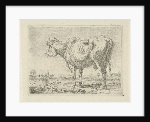 Standing cow by Anonymous