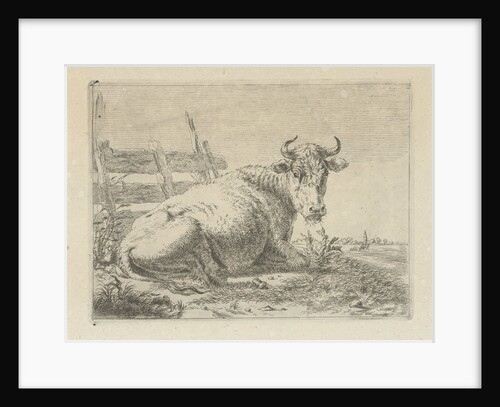 Lying cow at a fence by Anonymous