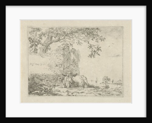 Lying calf for a ruin by Anonymous