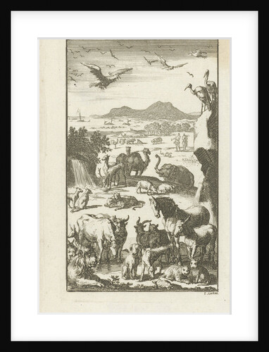 Creation by Cornelis van Hoogeveen Junior