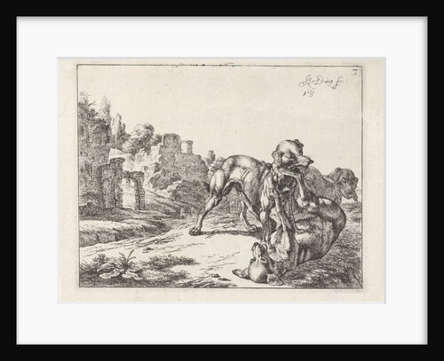 Fighting dogs by Johan le Ducq