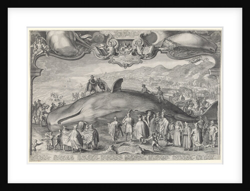 Stranded whale at Beverwijk by Jan Saenredam