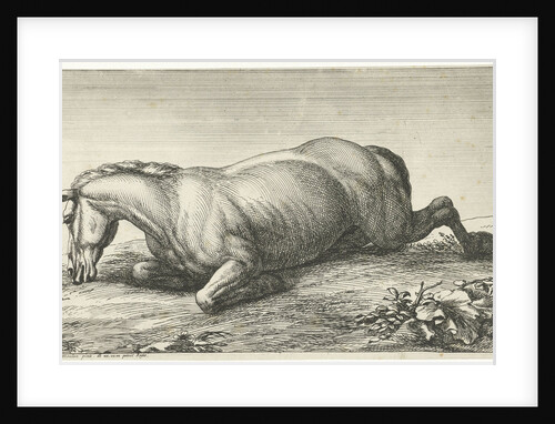 Killed horse on the belly lying by Adam Frans van der Meulen