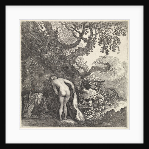 Bathing woman by Moyses van Wtenbrouck