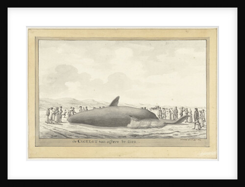 Whale washed ashore at Egmond aan Zee by Vincent Jansz. van der Vinne