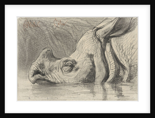Head of a rhinoceros by August Allebé