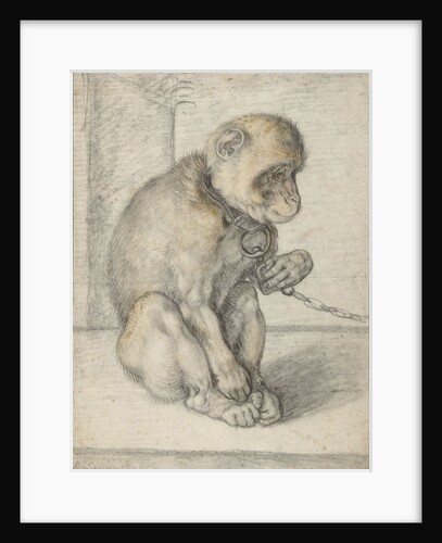 Monkey on a Chain by Hendrick Goltzius
