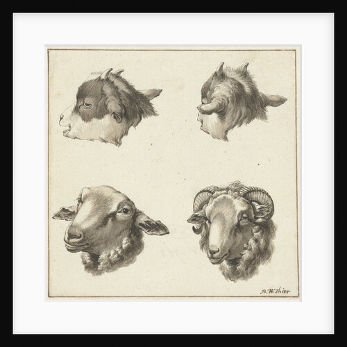 Four heads of goats and sheep by Barend Hendrik Thier