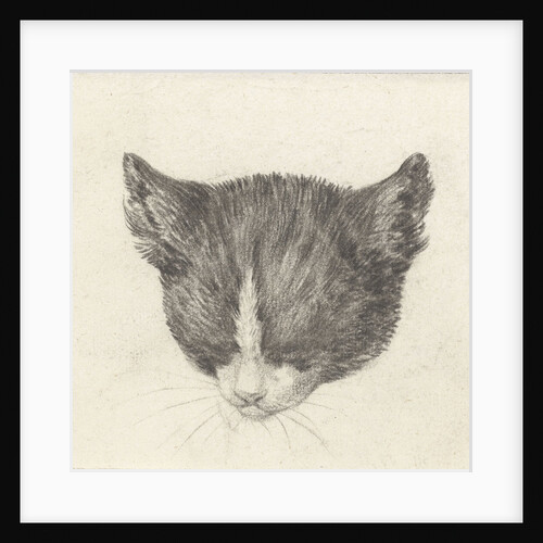 Cat by Jean Bernard