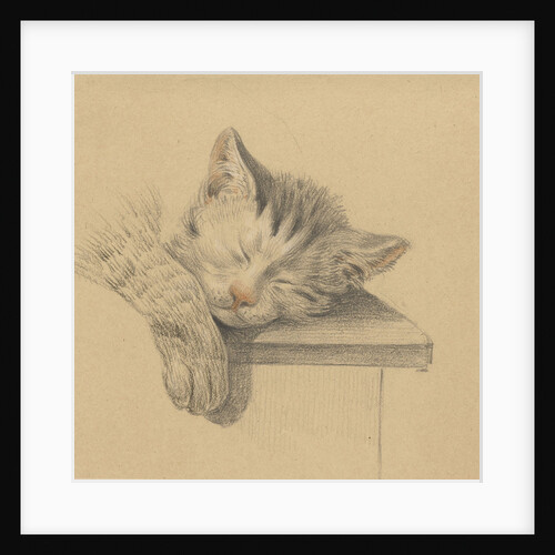 A sleeping cat by Jean Bernard
