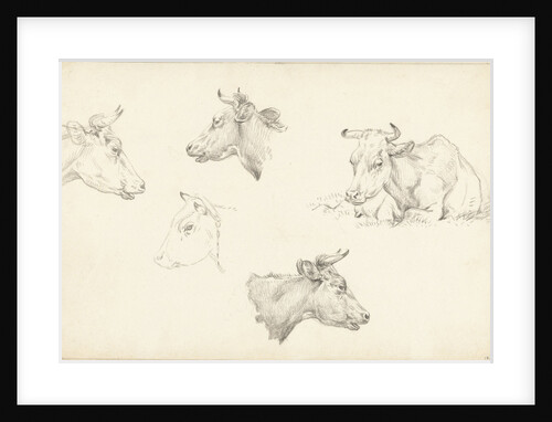 Four studies of the head of a cow by Jean Bernard