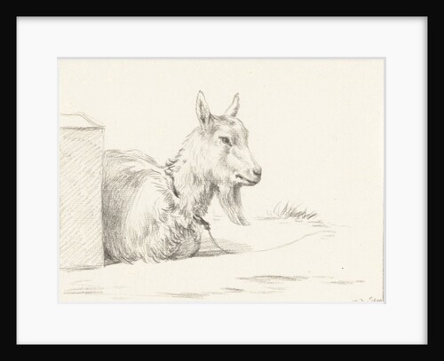 Goat by Jean Bernard