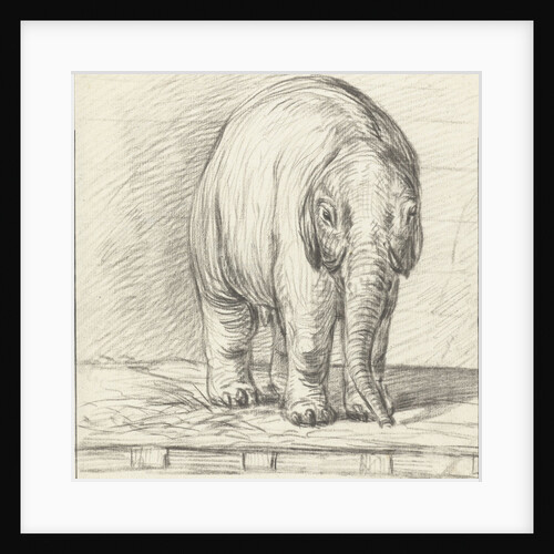Standing elephant by Jean Bernard