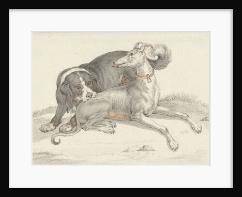 A dog bites another dog by Jean Bernard