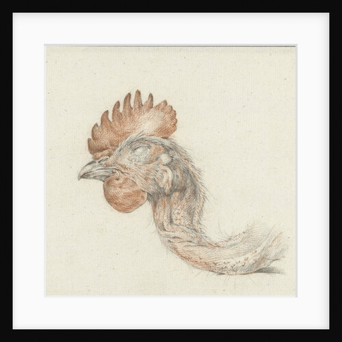 Head of a dead chicken by Jean Bernard