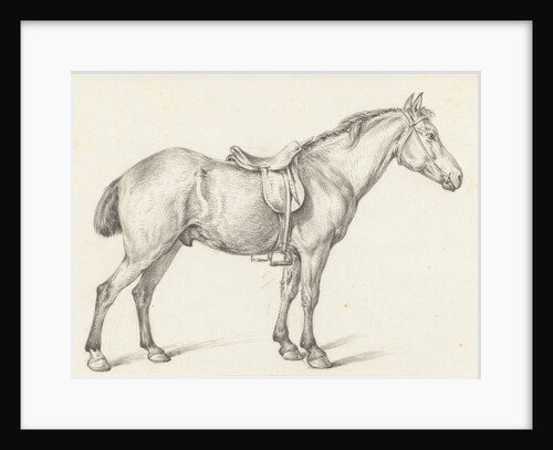 Standing horse by Jean Bernard