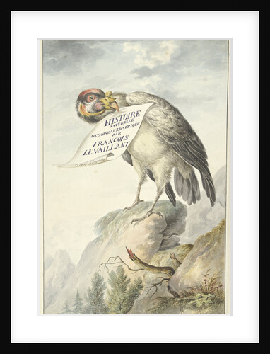 Vulture in its beak a sheet of paper by Circle of François Levaillant