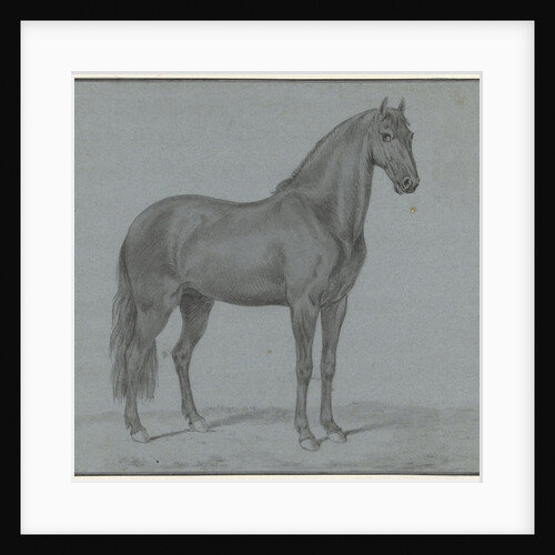 Horse of Monsieur de Guille by Tethart Philip Christian Haag