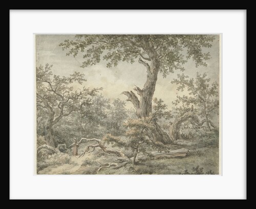 Forest Landscape by Cornelis Buys