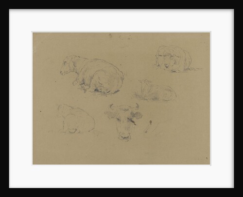 Four studies of a sheep and one of a cow by Gerard Bilders