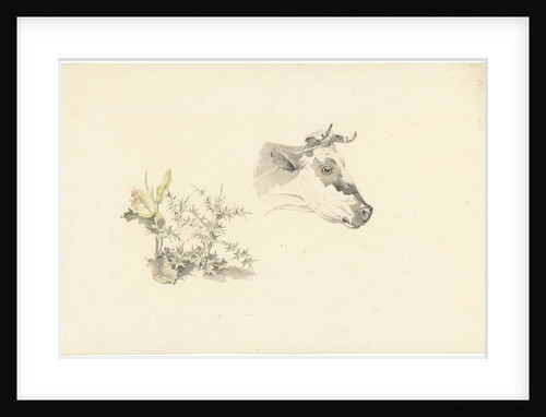 Head of a cow by Josephus Augustus Knip
