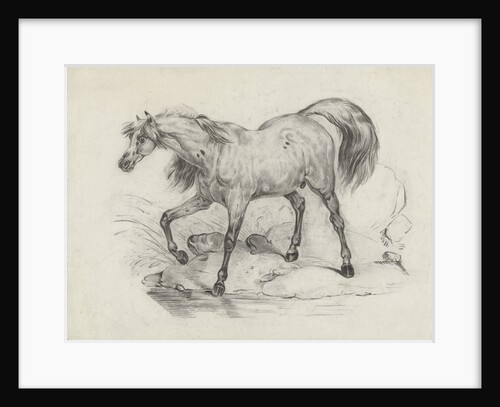 Standing horse by Schmidt