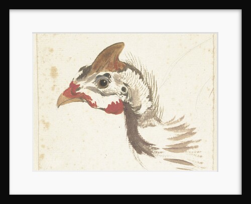 Head of a bird by Aert Schouman