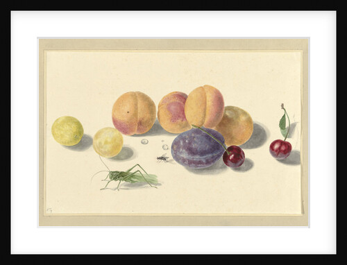 Peaches by Elisabeth Geertruida van de Kasteele