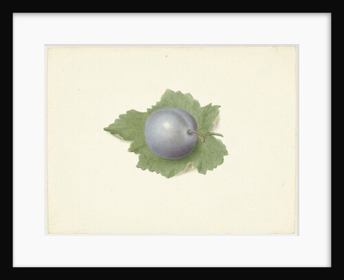 Plum on a leaf by Elisabeth Geertruida van de Kasteele