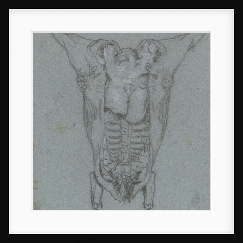 Hanging slaughtered animals by Jordanus Hoorn