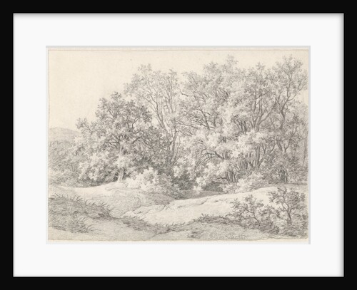 Trees on a dune ridge at the Hartekamp by Pieter van Cranenburgh