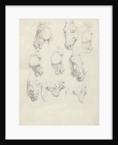 Nine anatomical studies of a horse head by Hendrik Voogd