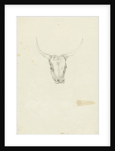 Bovine head by Hendrik Voogd