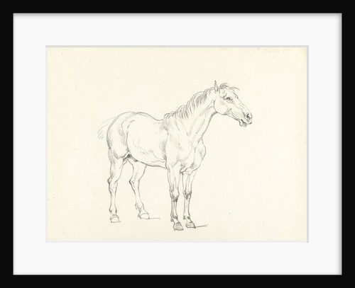 Study of a standing horse by Hendrik Voogd