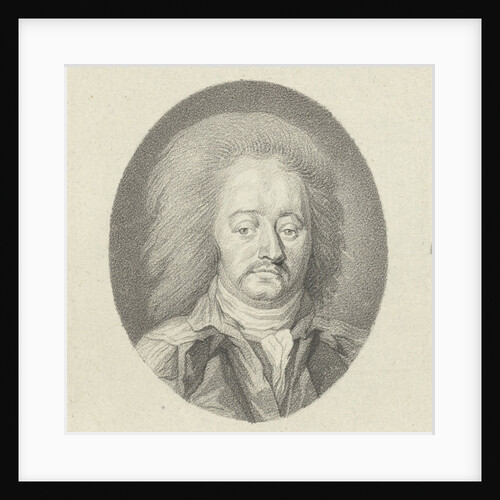 Portrait of the Rijngraaf van Salm by Johannes Cornelis Mertens