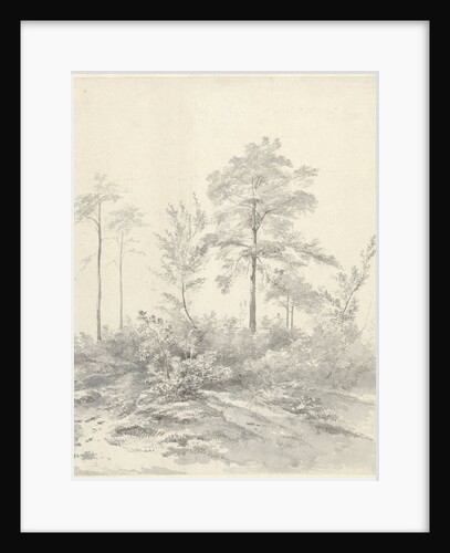 Tall trees between shrubs by Abraham Johannes Ruytenschildt