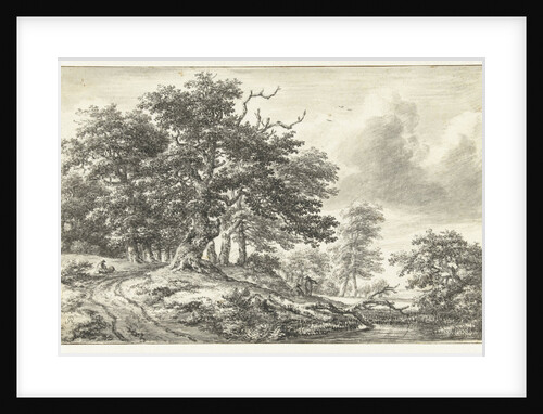 Wooded Landscape with large tree by Jacob Isaacksz. van Ruisdael