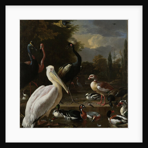 A Pelican and other Birds near a Pool by Melchior d' Hondecoeter
