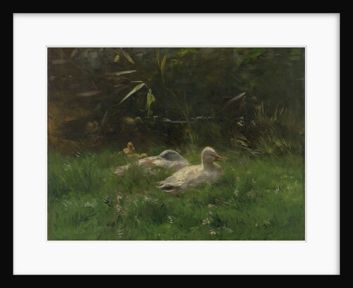 Ducks by Willem Maris
