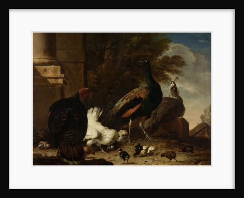 A Hen with Peacocks and a Turkey by Melchior d' Hondecoeter