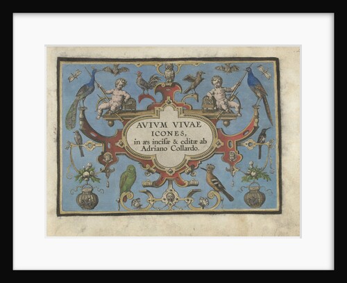 Title print for, Avium vivae Icones... by Adriaen Collaert