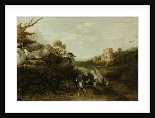 Water Birds by Gijsbert Gillisz. de Hondecoeter